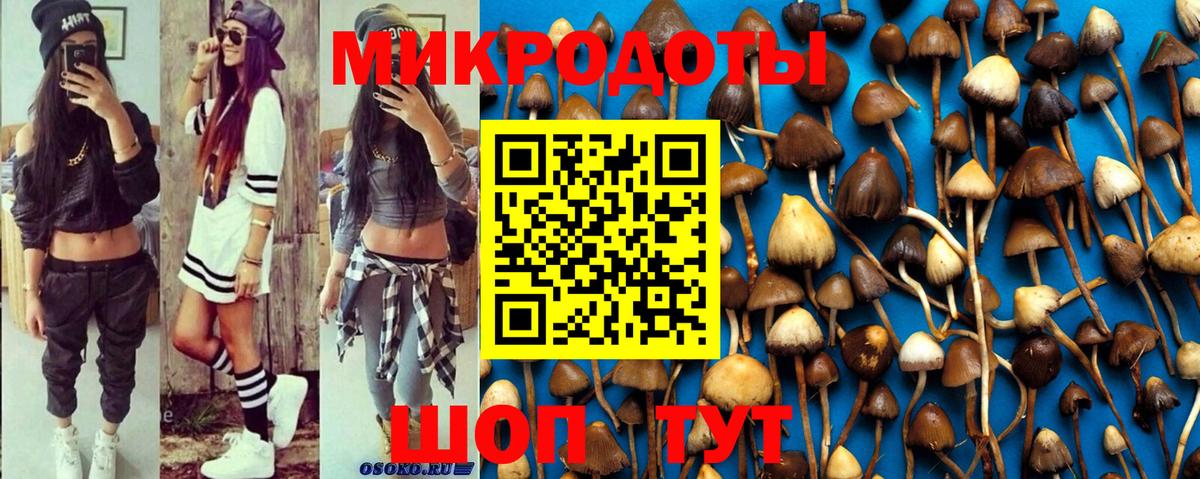 Псилоцибиновые грибы Magic Shrooms  Вход с VPN  Псилоцибиновые грибы мухоморы  Владимир 